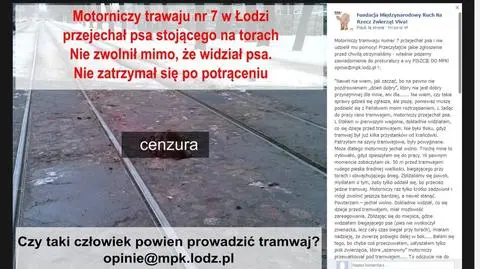 Motorniczy przejechał psa, pojechał dalej. MPK wyjaśnia, Viva! szuka świadków