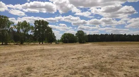 Trzech kolarzy trafiło po zawodach do szpitala. Jeden zmarł