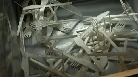 University of Technology in Gdańsk came up with biodegradable tableware that could be the solution to plastic utensils that damage the environment
