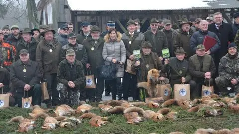 Myśliwi z kilkunastu kół łowieckich po raz kolejny zorganizowali polowanie na lisy