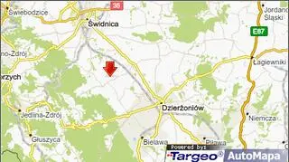 Pożar lasu w Lutomii Dolnej