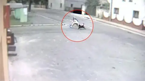 Dolny Śląsk: atak psa w oku kamery. Policja wyjaśnia sprawę