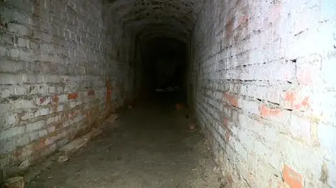 Archeolodzy: Tajemniczy tunel to schron z początku wieku