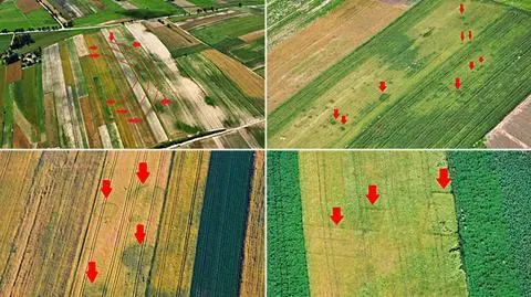 "Rondel", czyli miejsce po osadzie. Co archeolog widzi z samolotu?