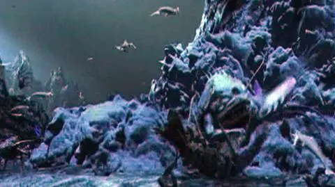 Podwodny świat w 3D