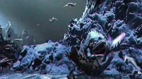 Podwodny świat w 3D