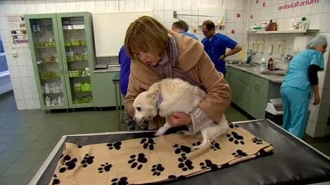 Walka o psiego przyjaciela