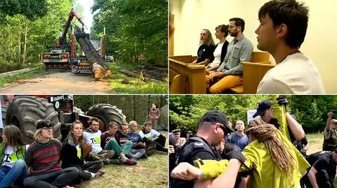 W czasie procesu ekologów protestujących w Białowieży pojawiły się ciekawe zeznania (materiał magazynu "Polska i Świat" z 9 sierpnia)