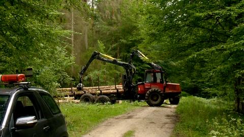 Harwestery nie wrócą do puszczy