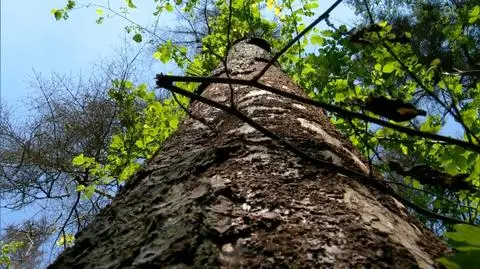 Komisja Europejska chce wyjaśnień 