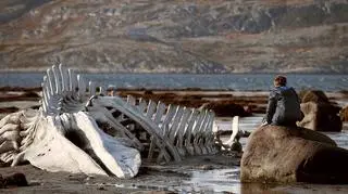 Kadr z filmu "Lewiatan" Andrieja Zwiagincewa