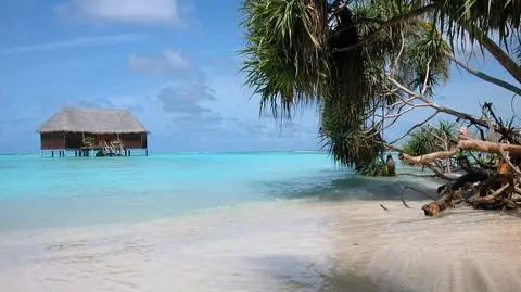 Oszczędzają na nową ojczyznę