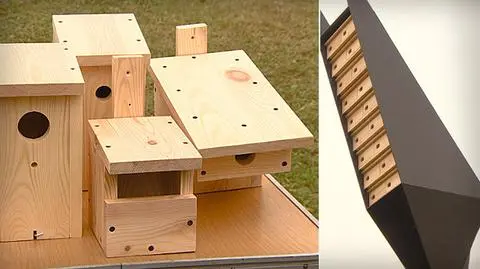 Jerzyki zamieszkają w dwóch wieżach