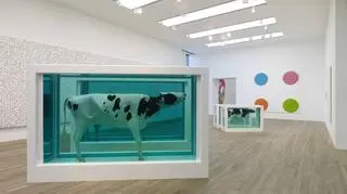 Wystawa Damiena Hirsta przyciągnęła prawie pół miliona odwiedzających, więcej niż jakakolwiek inna w Tate Modern