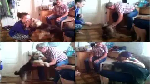 Znaleźli zaginioną suczkę po 10 miesiącach