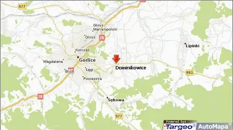 Do wypadku doszło w Dominikowicach