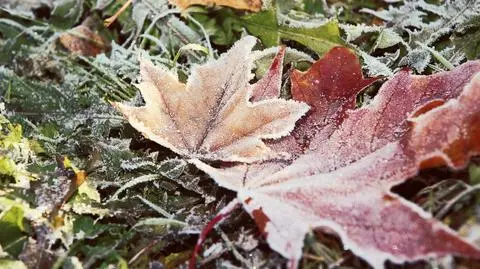 Pogoda na dziś: miejscami mroźno, możliwy deszcz ze śniegiem