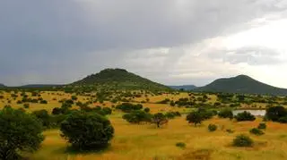 Do wypadku doszło w prowincji KwaZulu-Natal
