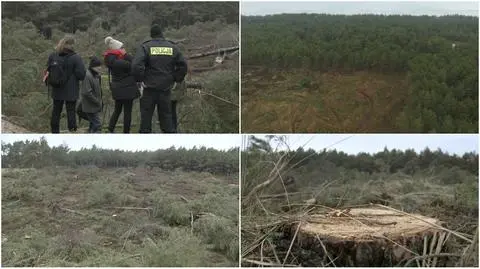 To wielka strata dla całego ekosystemu 