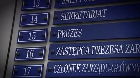 Państwo w państwie