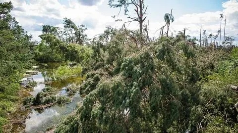 Rytel: Żołnierze pomogą udrożnić koryto Brdy