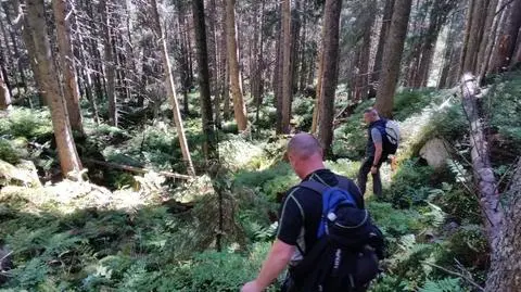 Na ludzkie szczątki natknęli się 7 września pracownicy naukowi Tatrzańskiego Parku Narodowego / wideo 15.09