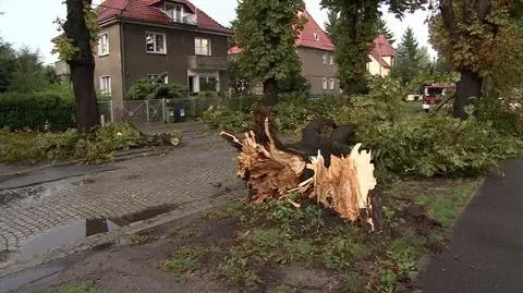 Oberwanie chmury nad Wrocławiem. Powalone drzewa, zalane ulice