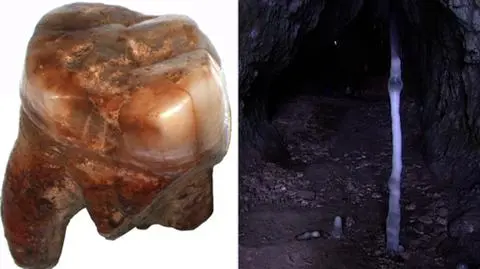 Po zębie poznali Bobolusa