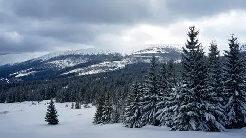 The Karkonosze range is also often referred to in English as the "Giant Mountains"