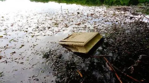 Ta kamienna płyta "wyszła z wody" w maju