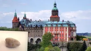 Jedna z odnalezionych pod ziemią "pereł"