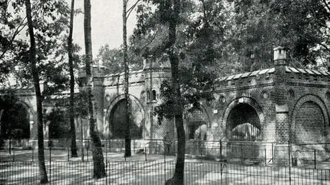 5 tysięcy jubilatów: 
wrocławskie zoo skończyło 147 lat