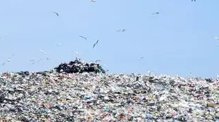 Nowe stawki za wywóz śmieci zaczną obowiązywać od 1 lipca