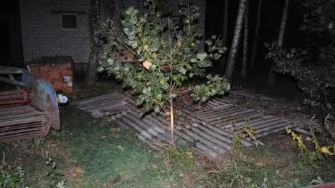Dwulatek wpadł do szamba