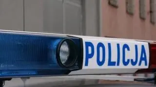 19-latek przyznał się do winy 