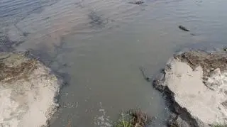 Ścieki pojawiły się w Zatoce Puckiej 