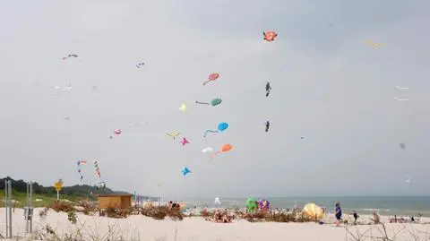 Panda, koty i smoki nad plażą w Łebie