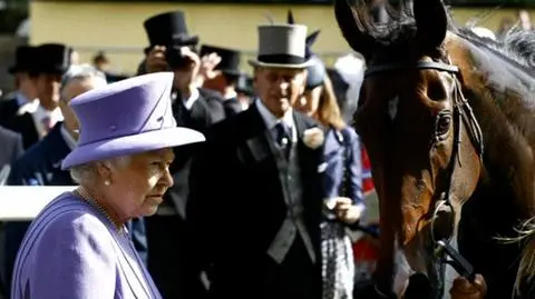 Brytyjska rodzina królewska szuka specjalisty od Social Mediów