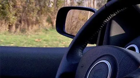 Wyjątkowo pechowa kobieta za kierownicą