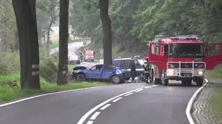 Dwie osoby zginęły, dwie zostały ranne w wypadku koło Pustelnika (woj. dolnośląskie)