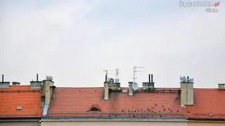 Bez rury w kominie nie działa piec gazowy