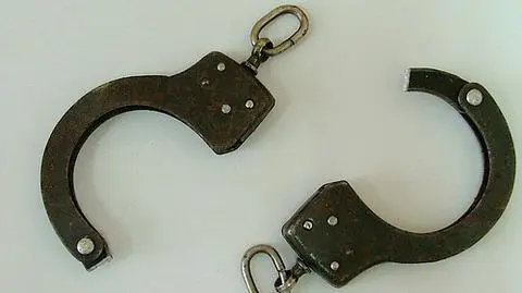 Włamywaczka zatrzymana po 9 latach. "Myślała, że się przedawniło"