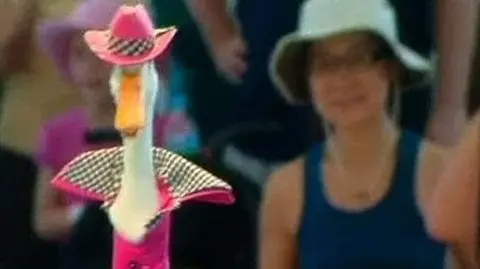 Kacze haute couture