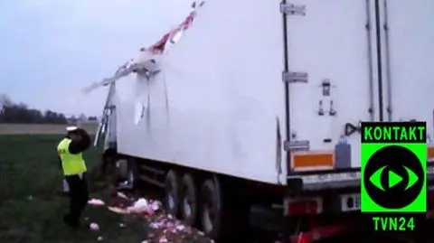 TIR staranował drzewo