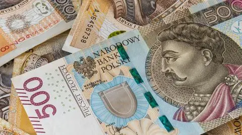 Polish PM signals budget can cope with cut in corporate tax