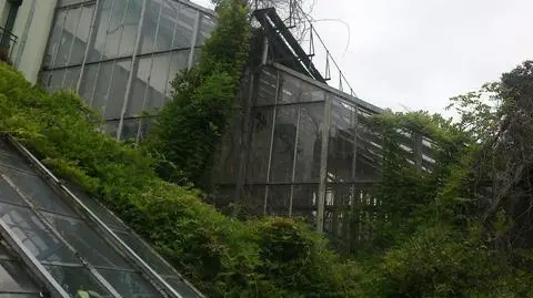 Wyburzą starą palmiarnię. Co w jej miejsce? Nie wiadomo...