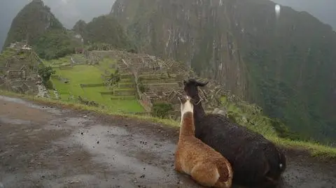Kung-fu u podnóża Machu Picchu