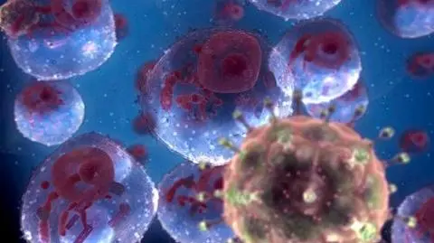 Odkryli nowy szczep HIV