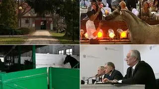 Prezesi stadnin zostali odwołani pod koniec lutego