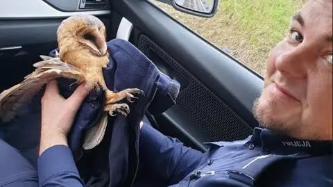 The officers have wrapped the injured owl in a blanket and transported her to a veterinarian